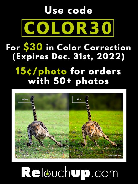 New Bulk Pricing Color Correction Offer